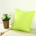 Parrot Green - Cushion Cover