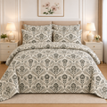 Sage Ethnic Border Cotton Printed Quilt Cover Set