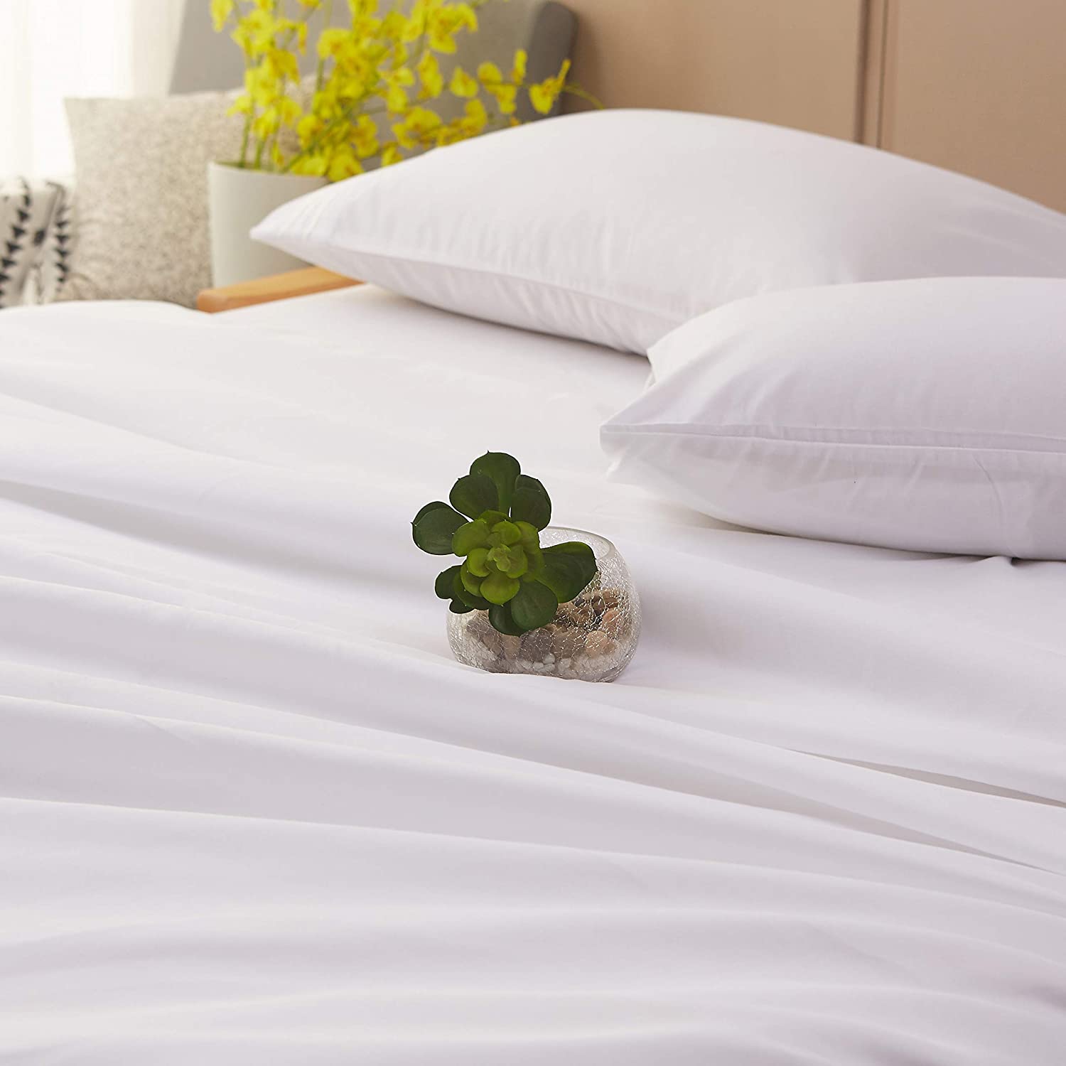Pure White Plain Solid Color Bed Sheet Set
